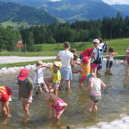 Haus Sommerstein Maria Alm am Steinernen Meer Exteriör bild